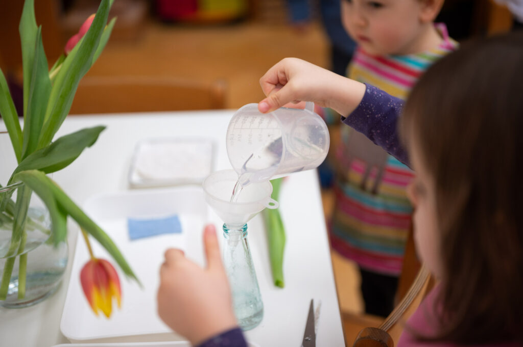 Logo Montessori Kinderhaus SEZUTU